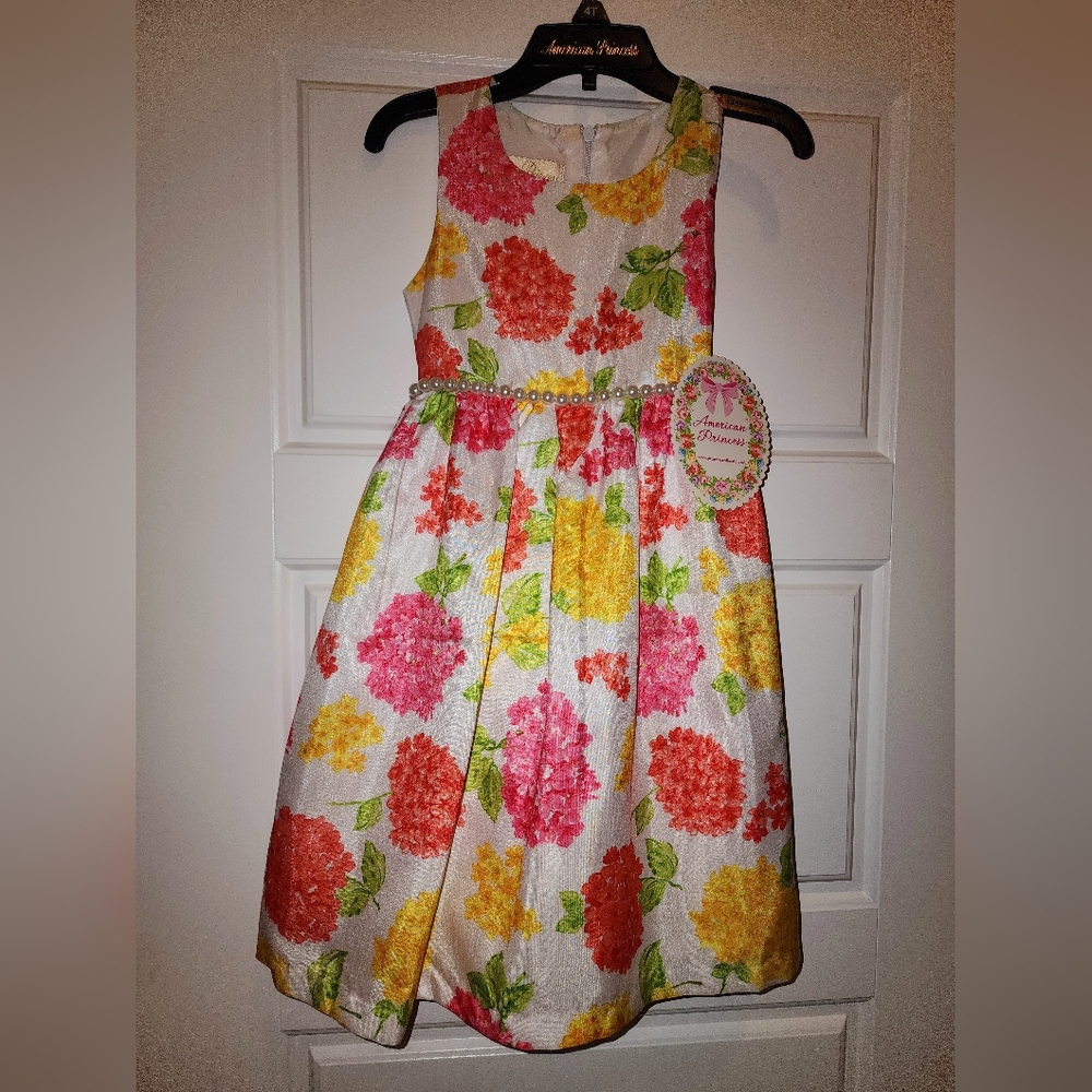 American Princess 👸 💖 Floral 4T Dress